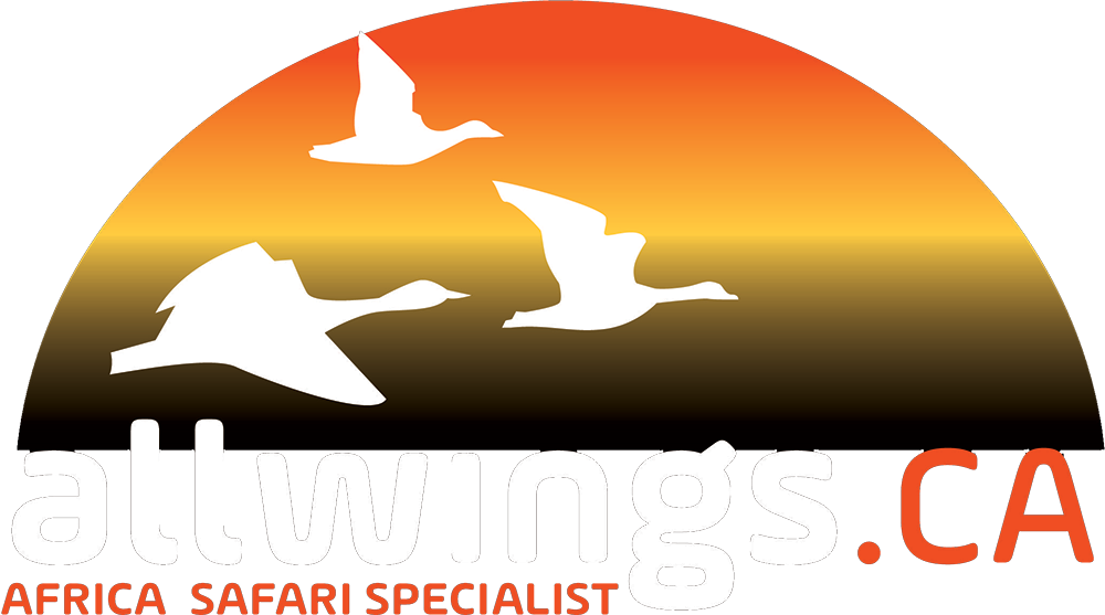 allwings.ca_transp